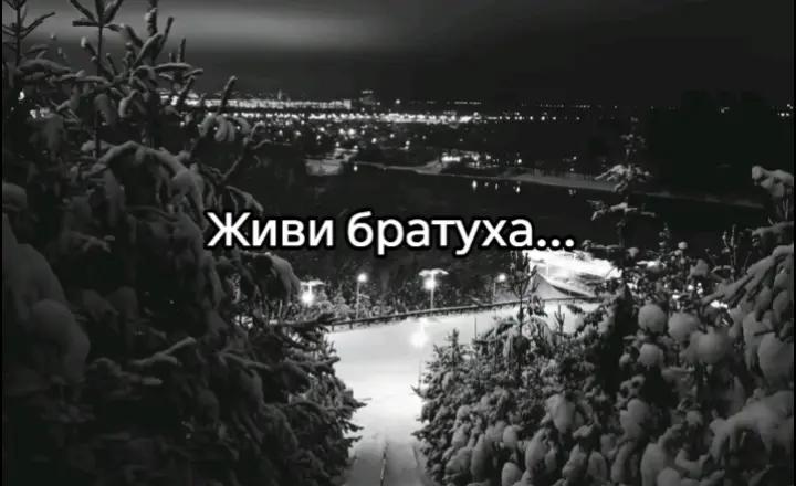 @koliapopovich