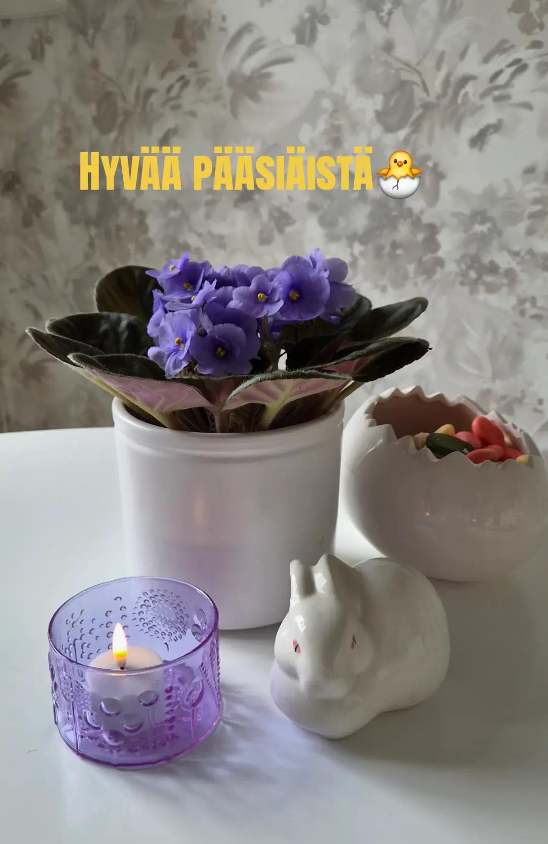 @𝙋𝙞𝙞𝙥𝙖-𝙢𝙪𝙢𝙢𝙞🇫🇮