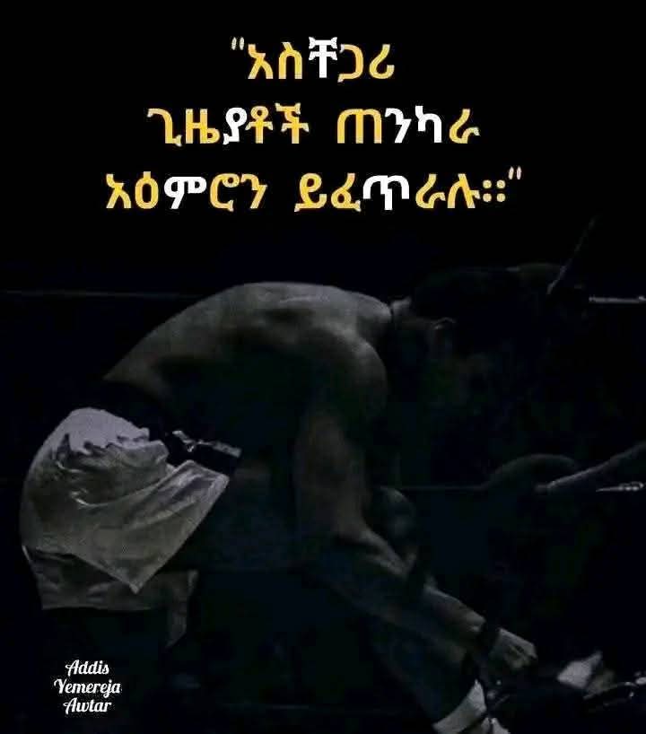 @jertu