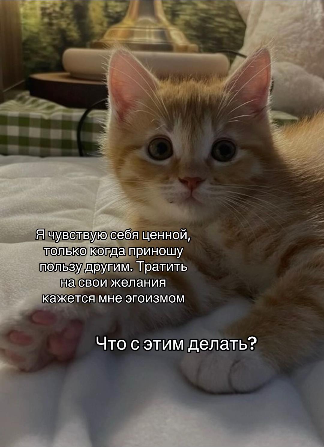@тгк: психология с марго