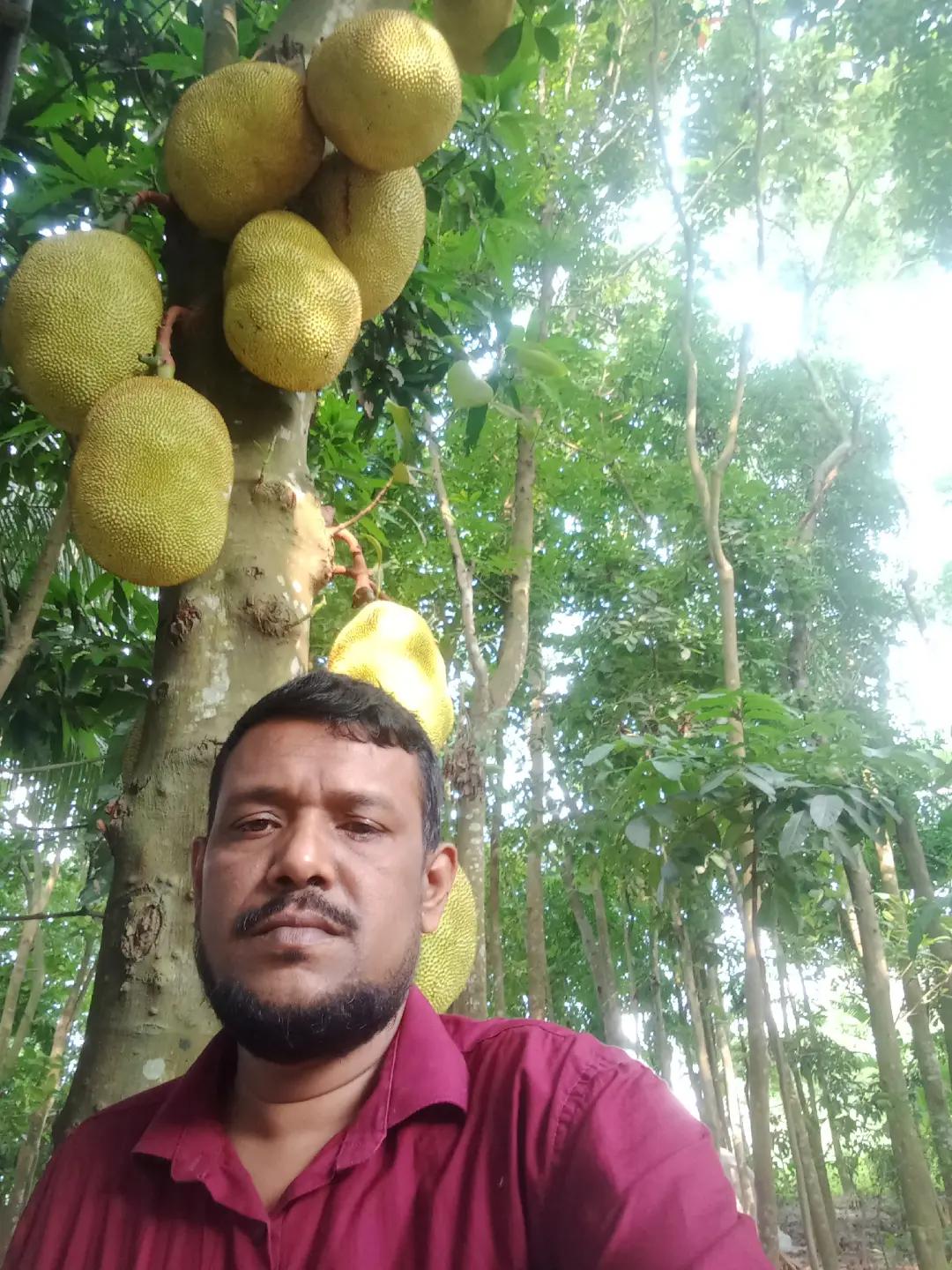@monir