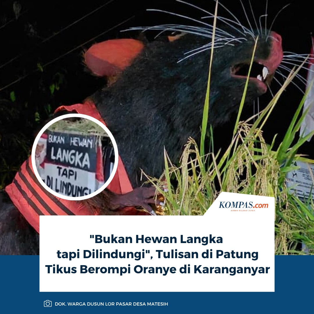 @Kompas.com