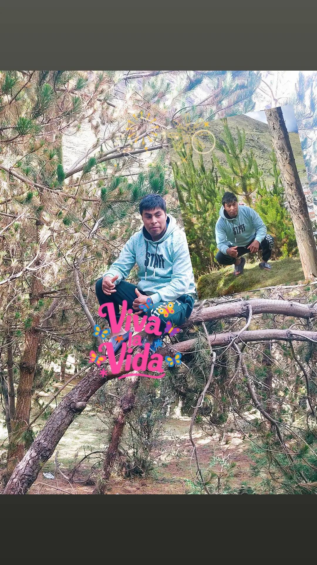 @Vidal Mamani