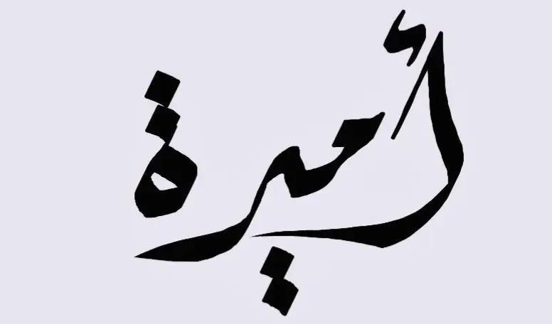 @ايمن ابوالعربى