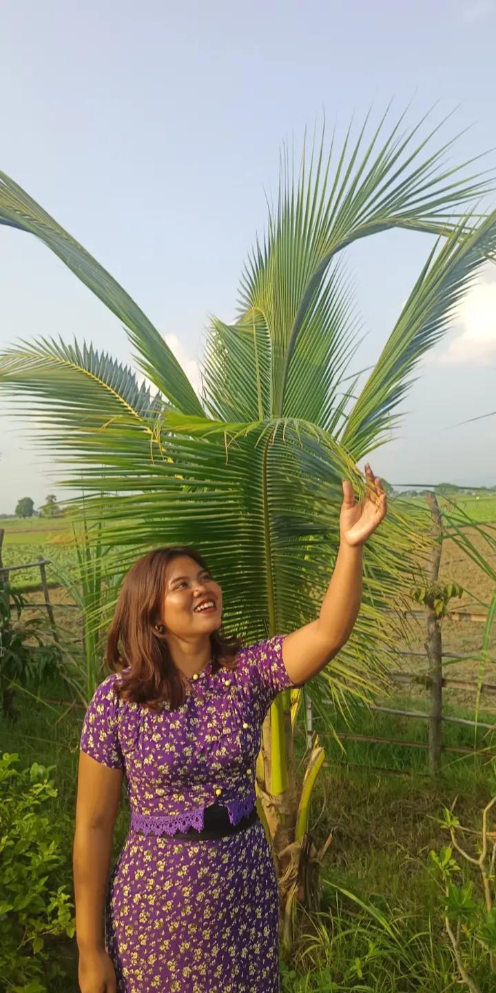 @Nwe Ni Hlaing
