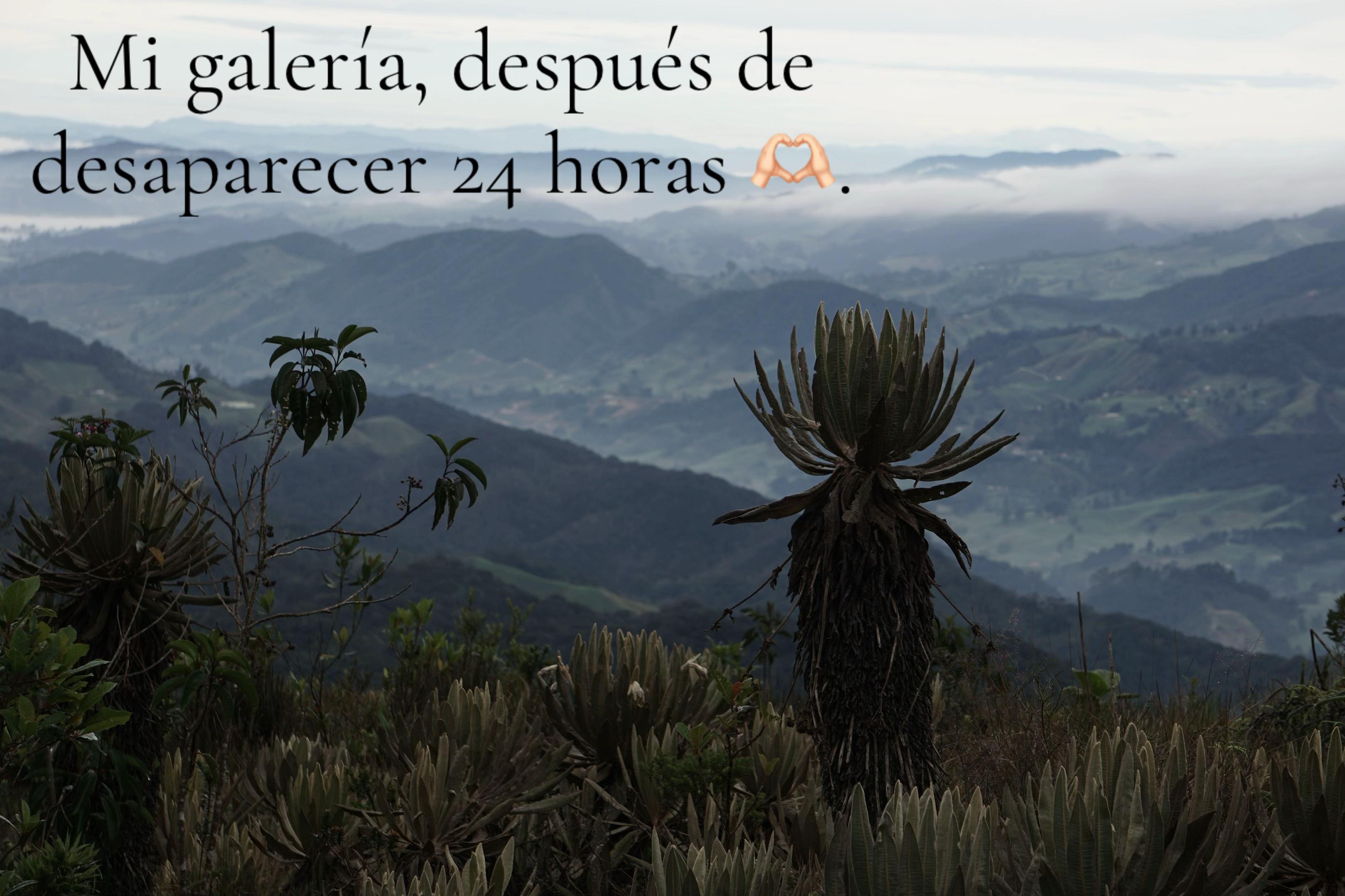 @Dianitha Huertas