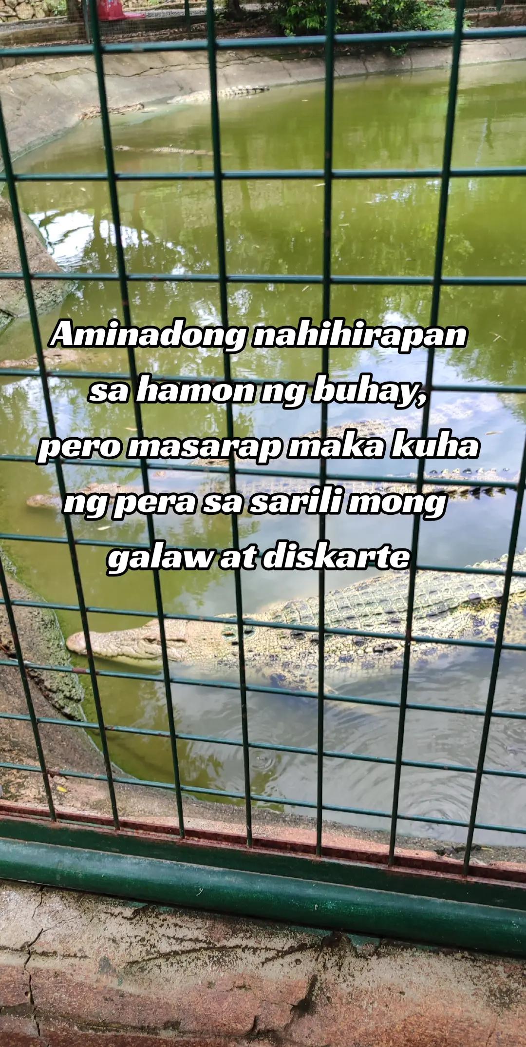 @Tito Drei