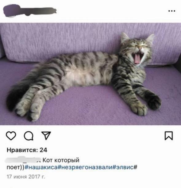 @тгк: замчик