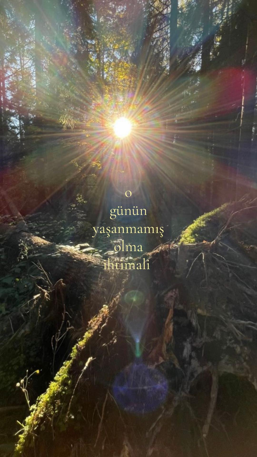 @𝒍𝒊𝒗𝒊𝒏𝒈𝒉𝒂𝒓𝒅