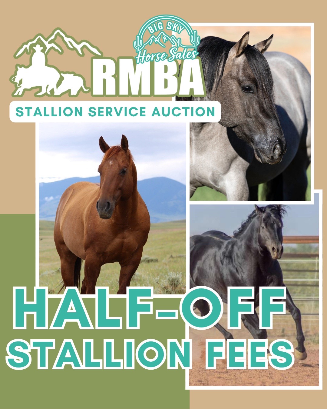 @Big Sky Horse Sales