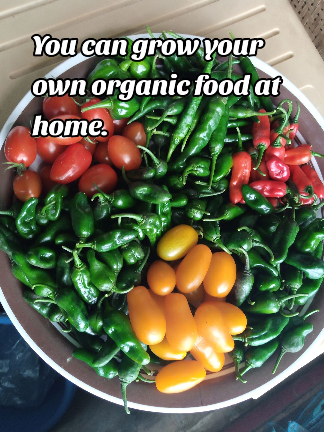 @The GenZ Gardener