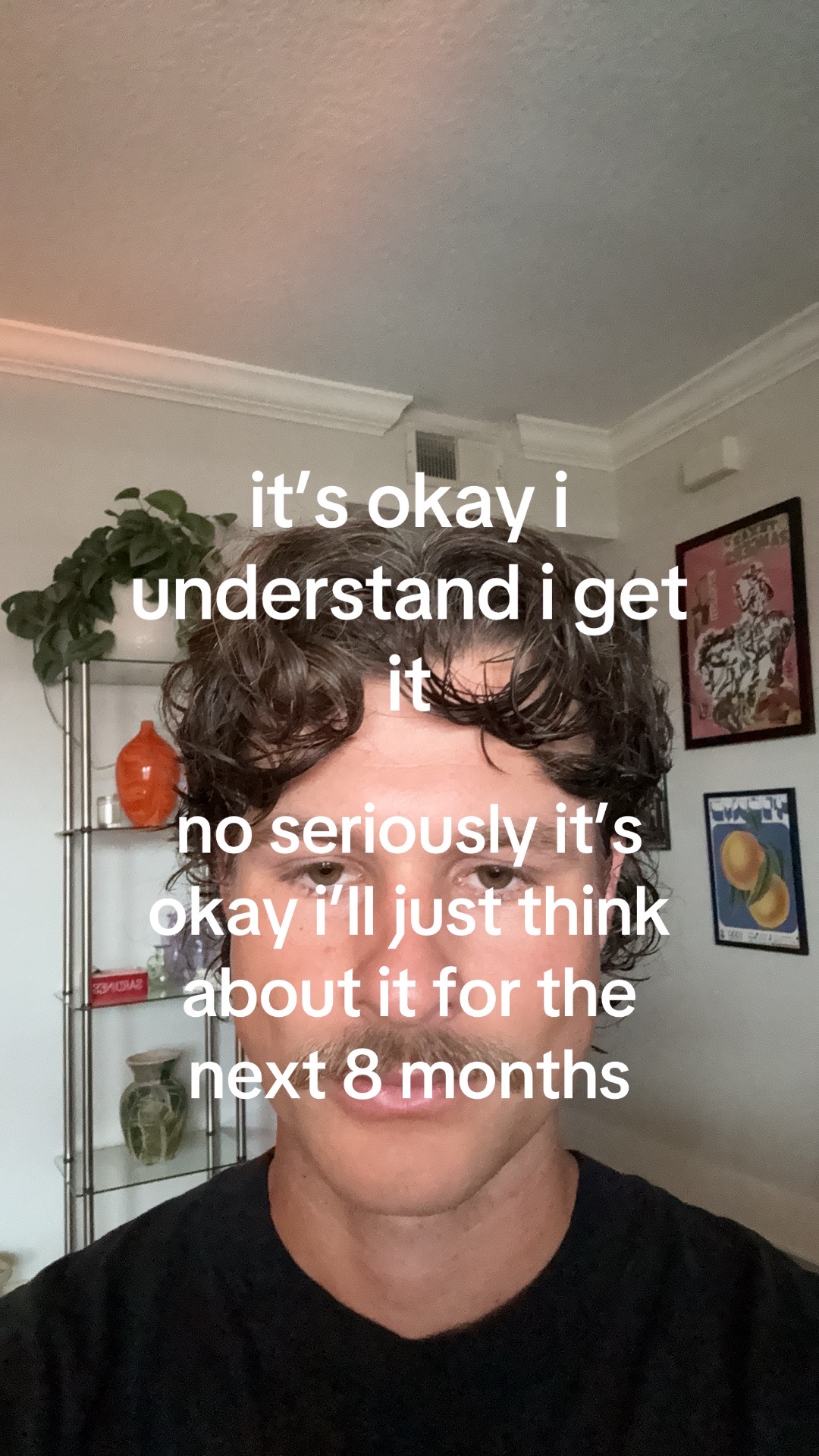 @shane