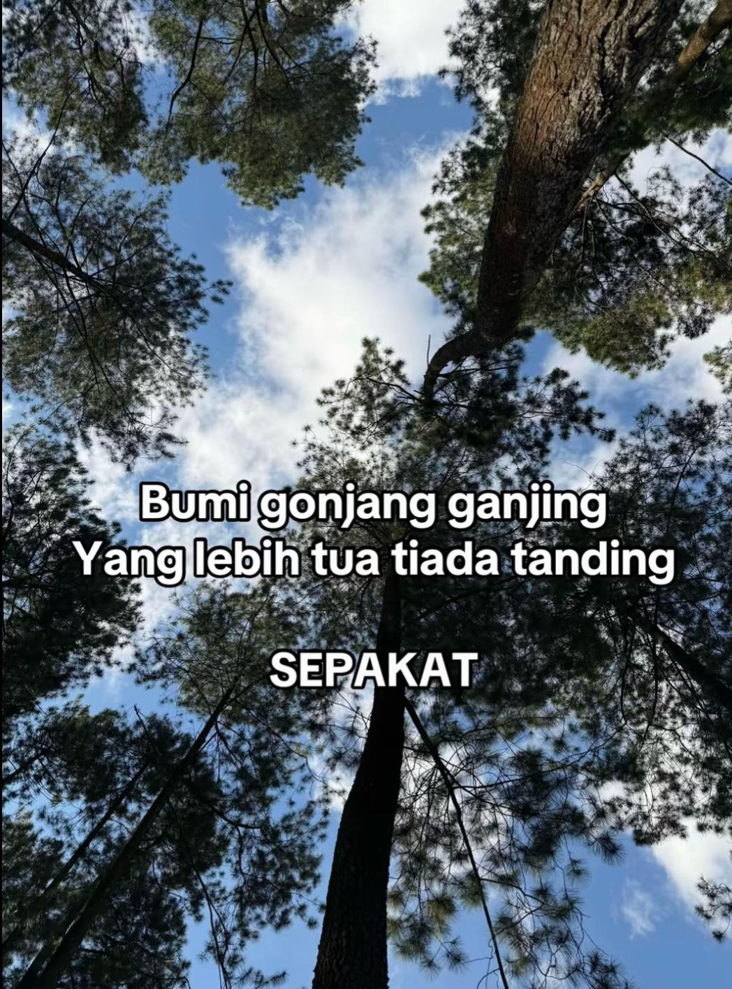 @Restyy