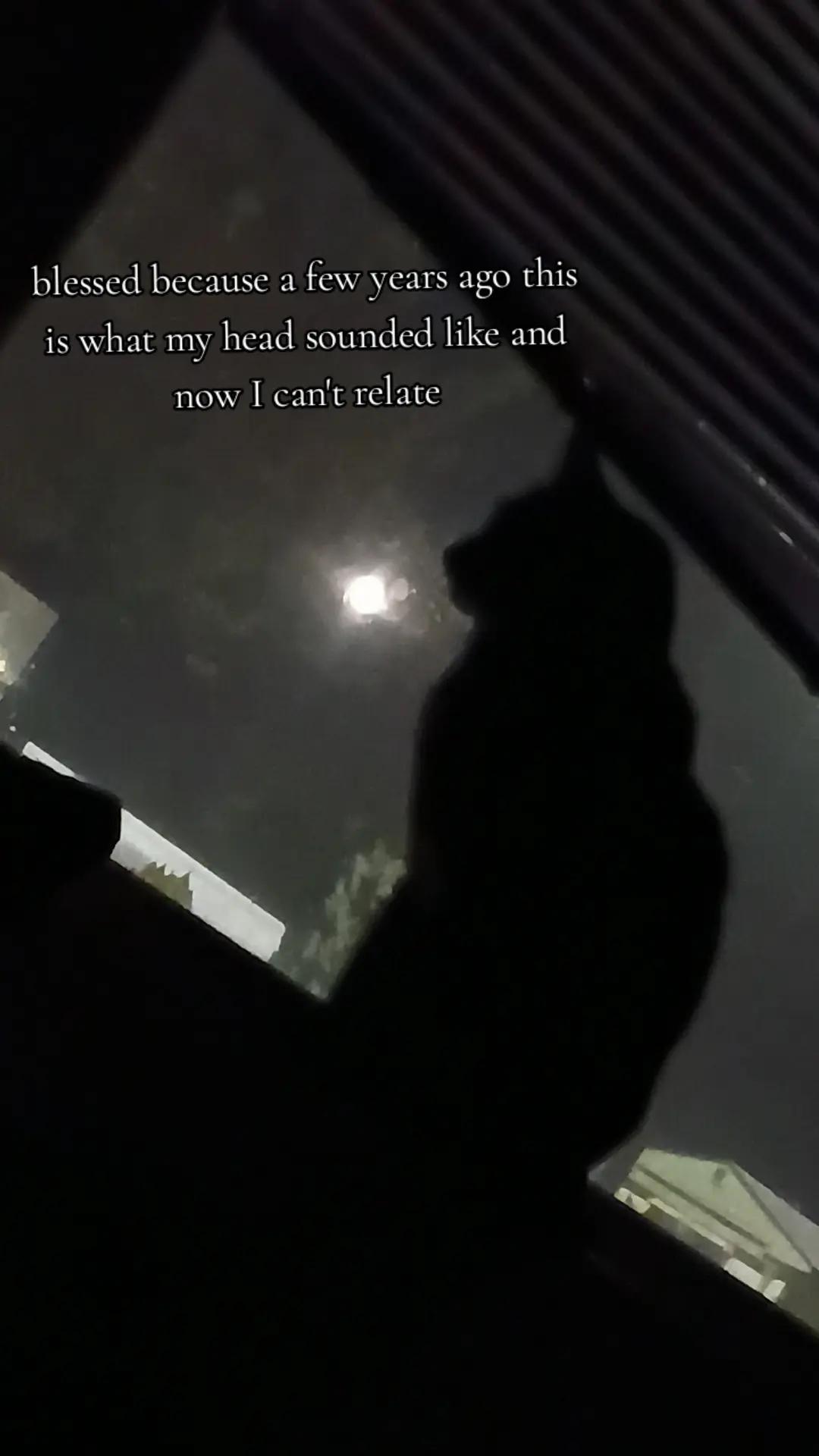 @Bitch