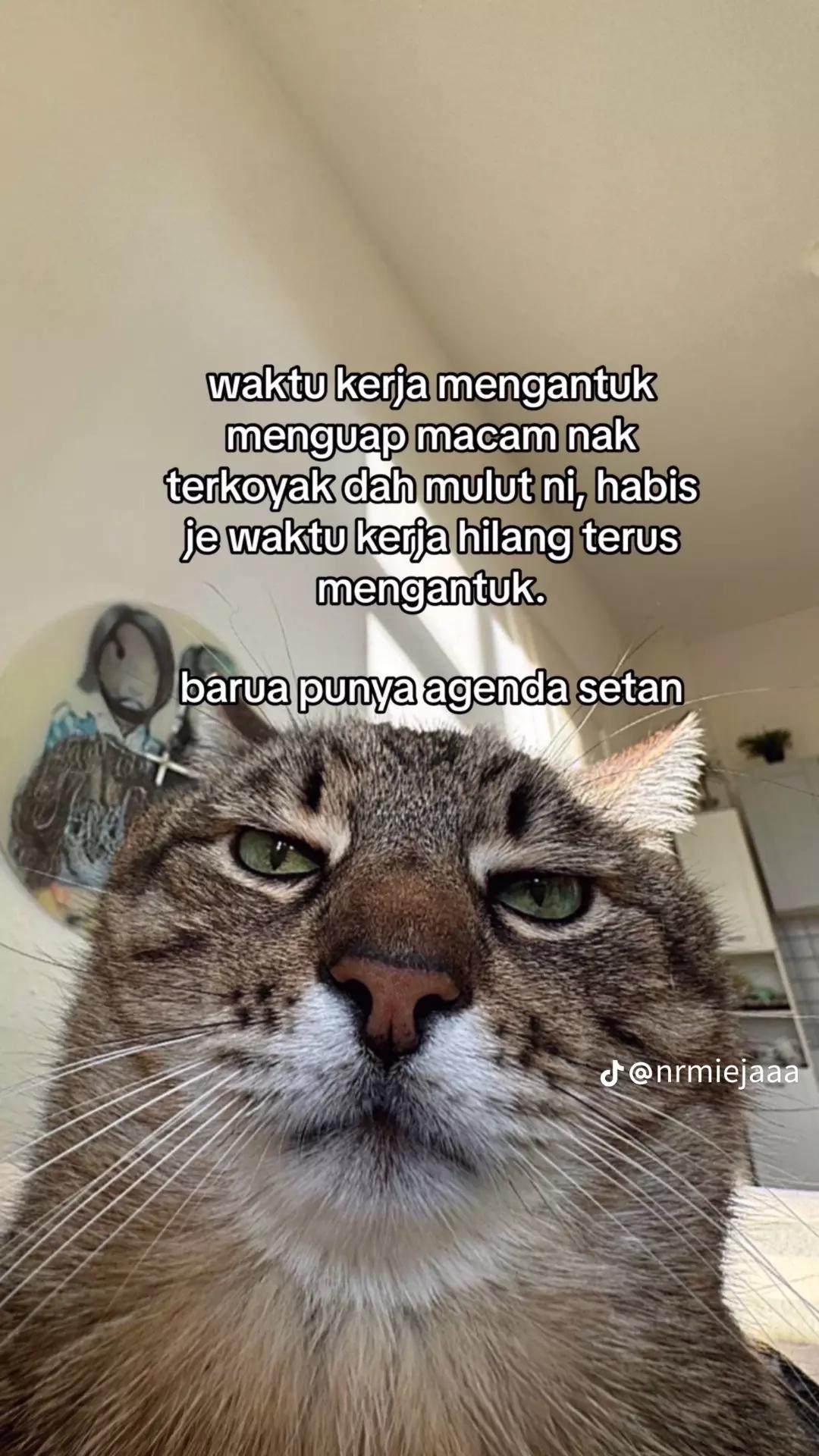 @fariz
