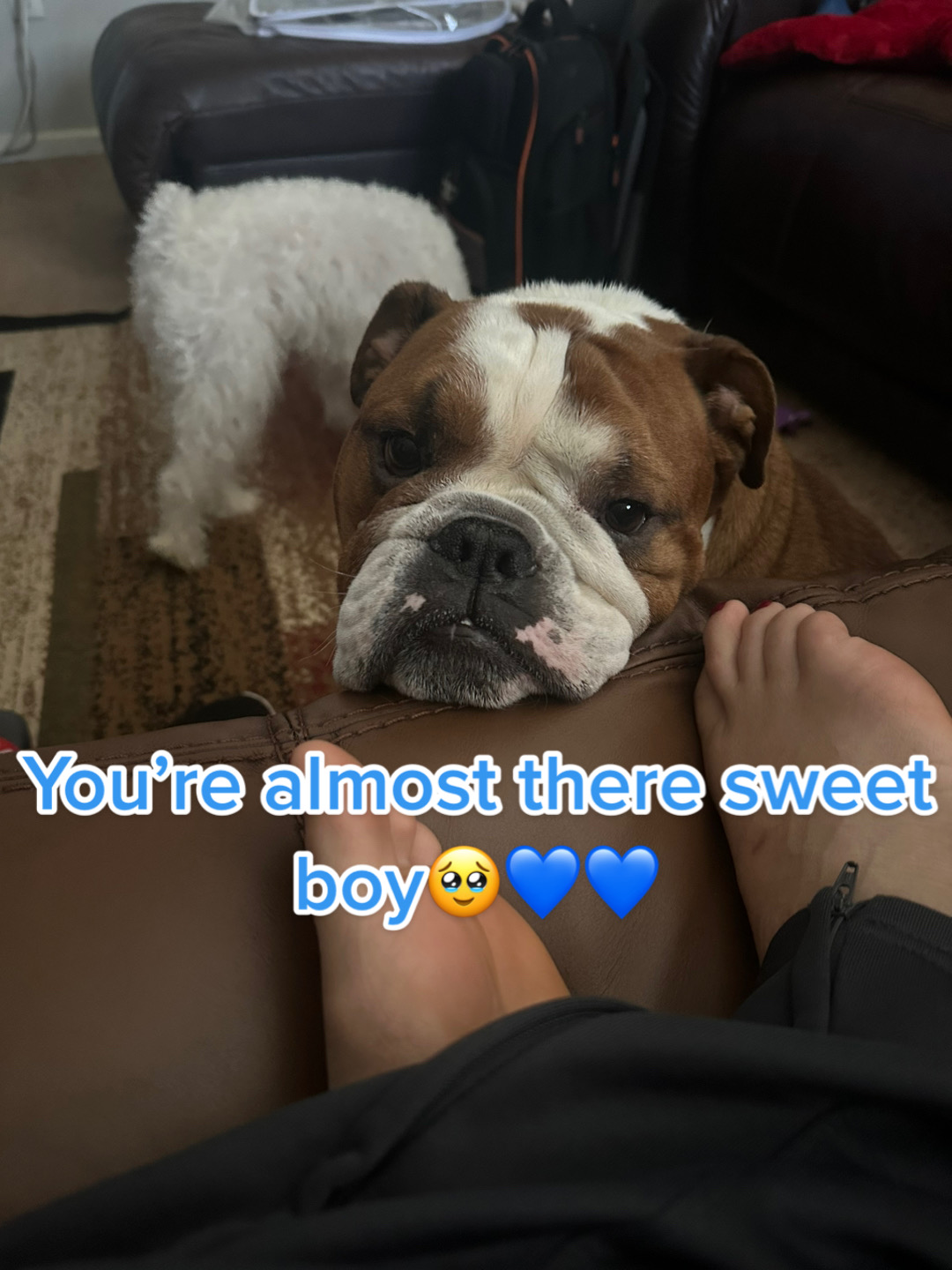 @Beast