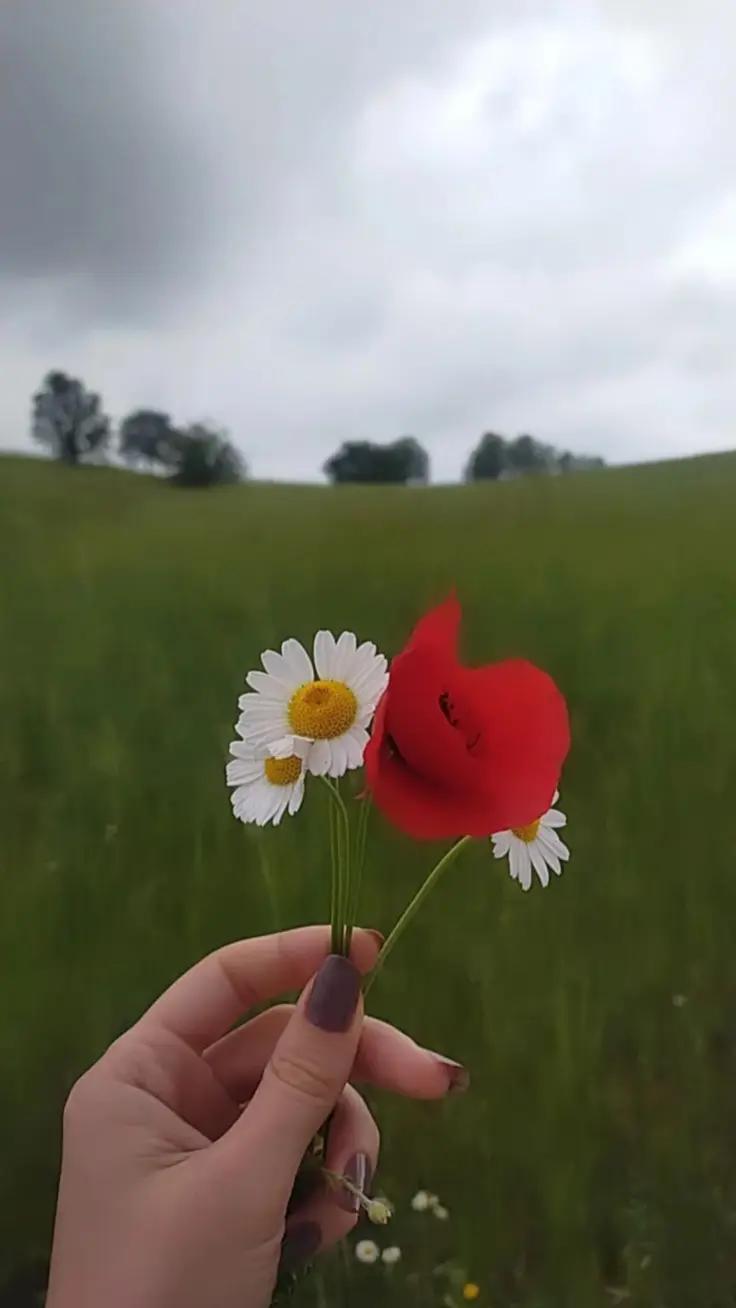 @شمس 🇮🇹