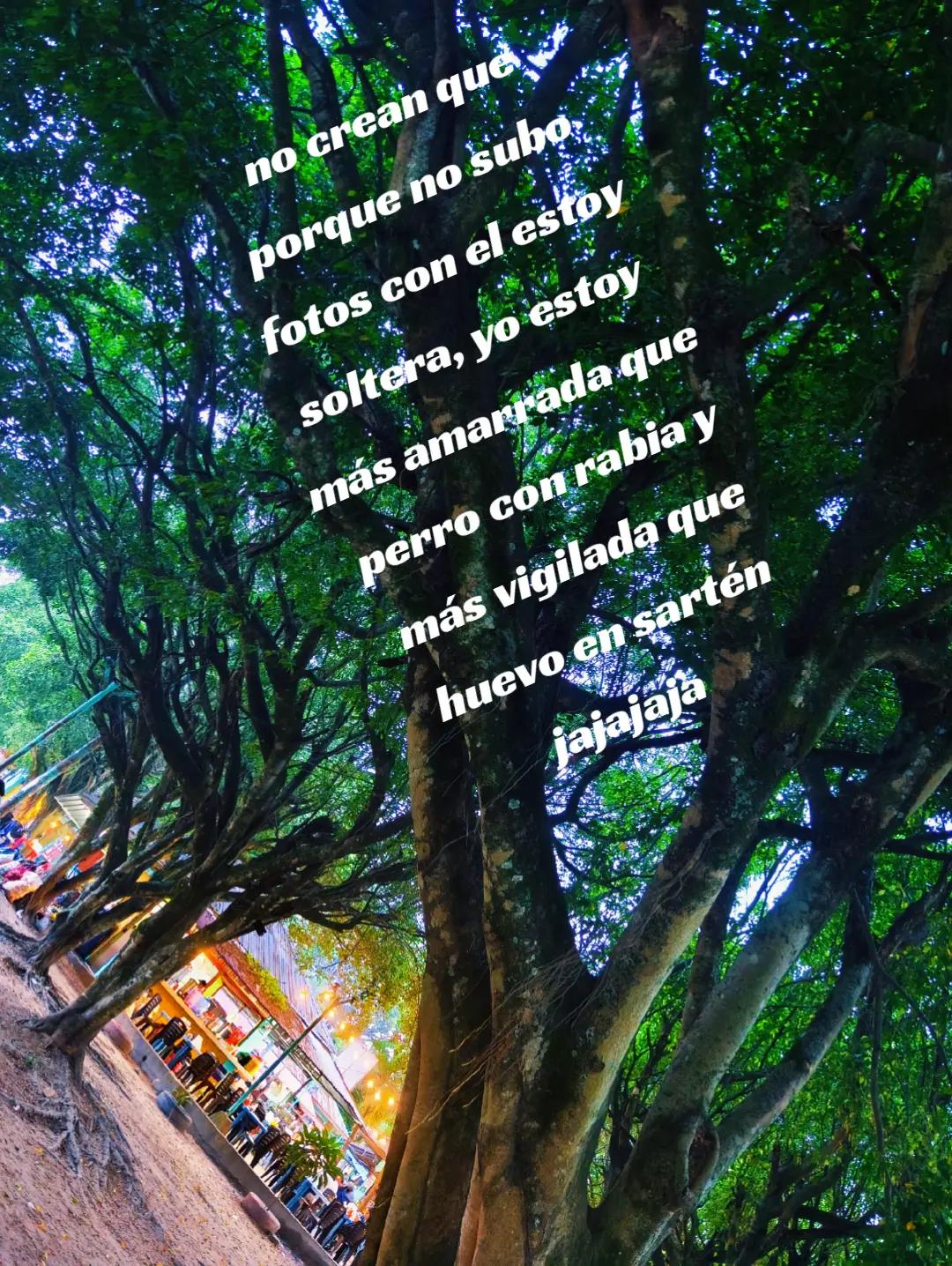 @❤️🩹 RUTH 🦋