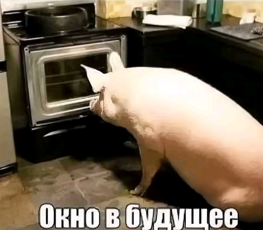 @Rider на куго