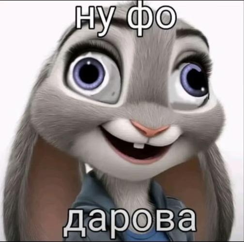 @ilyhaking