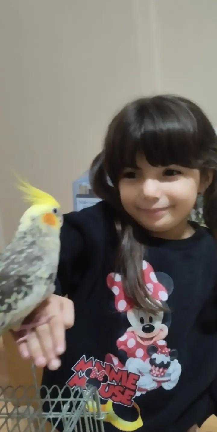 @Dilek Ersöz