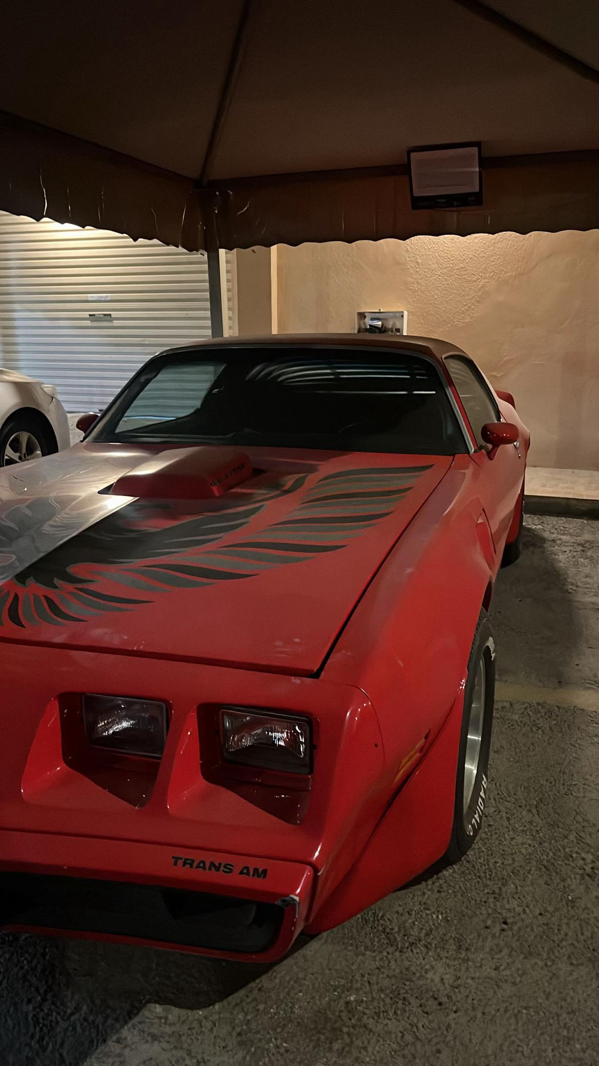 @حورية سيهات