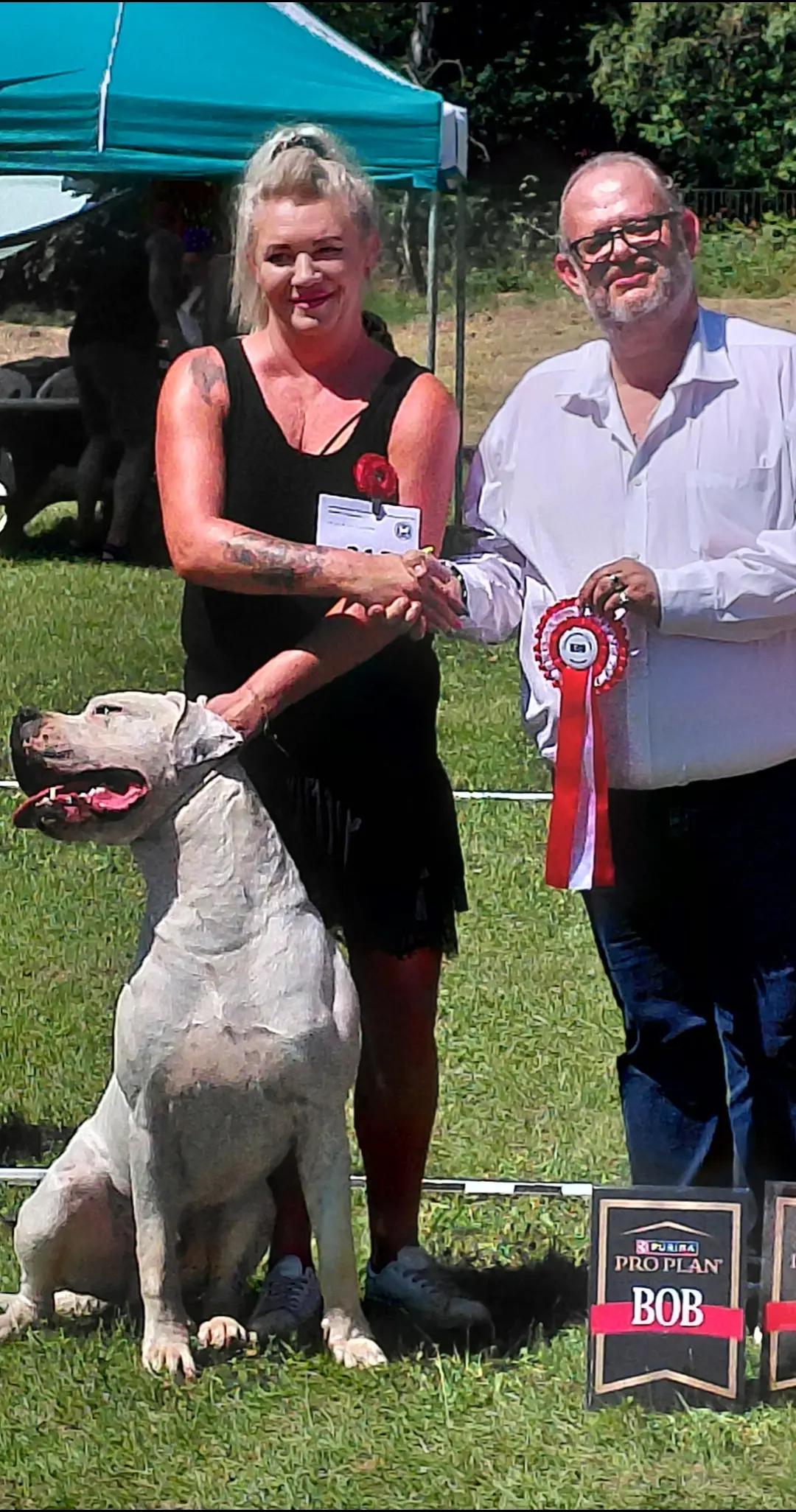 @Viola Trojan Dogo Argentino
