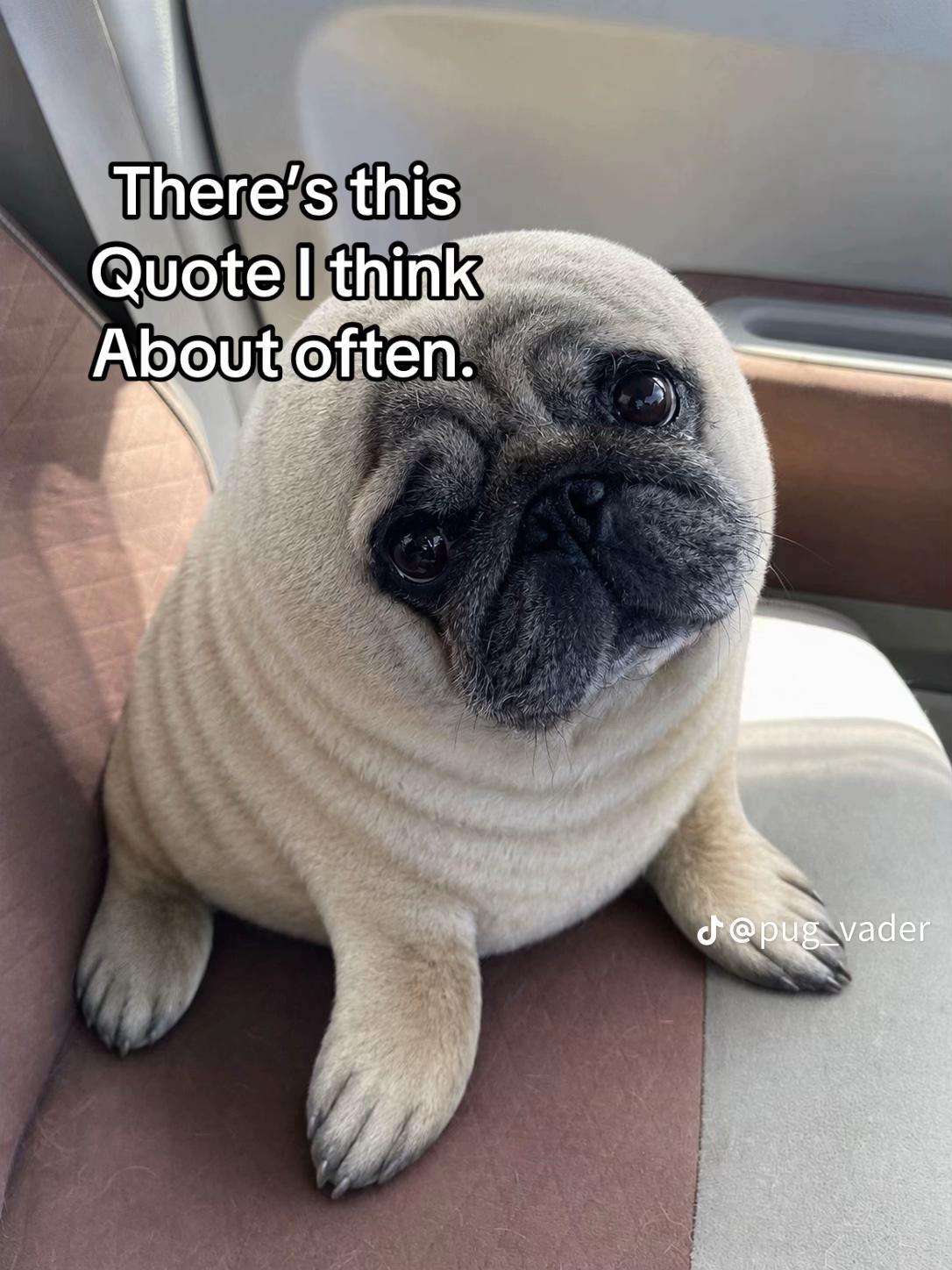 @⋮ ⌗ ┆Stanley .ᐟ