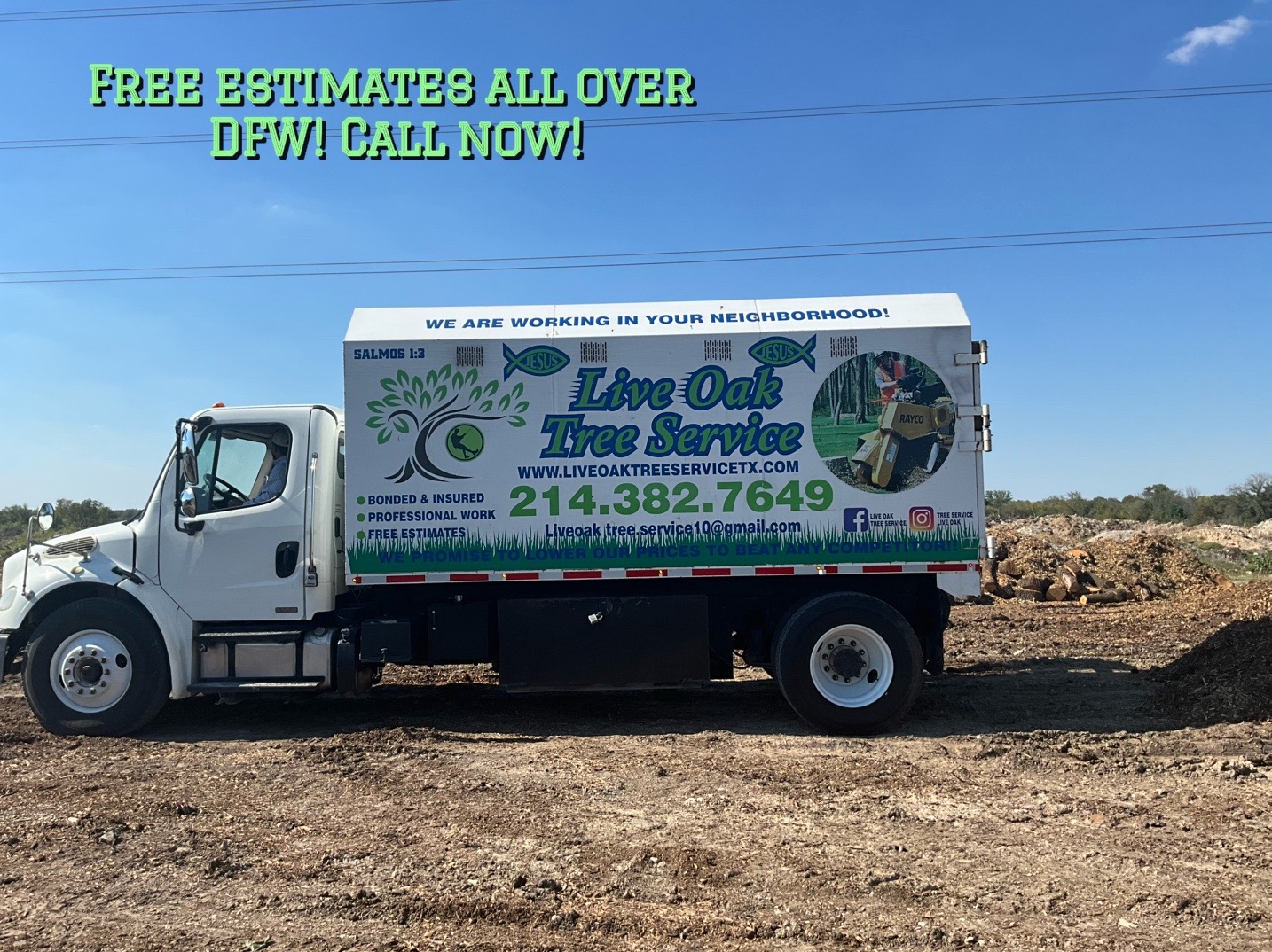 @Live Oak Tree Service
