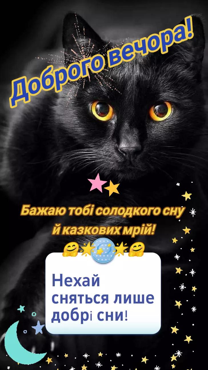 @🇺🇦 СВАХА 🇺🇦