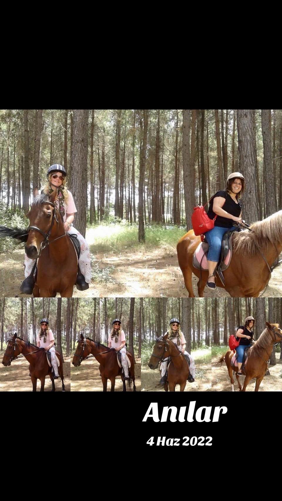 @Neslihan Celik