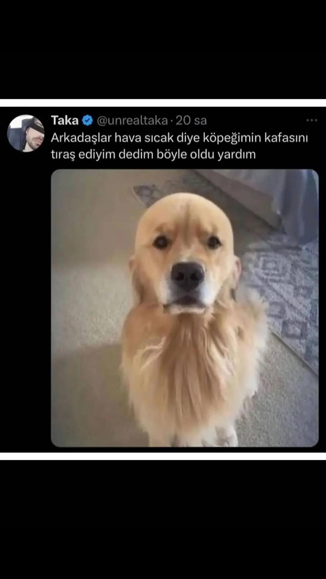 @batıkgemi01