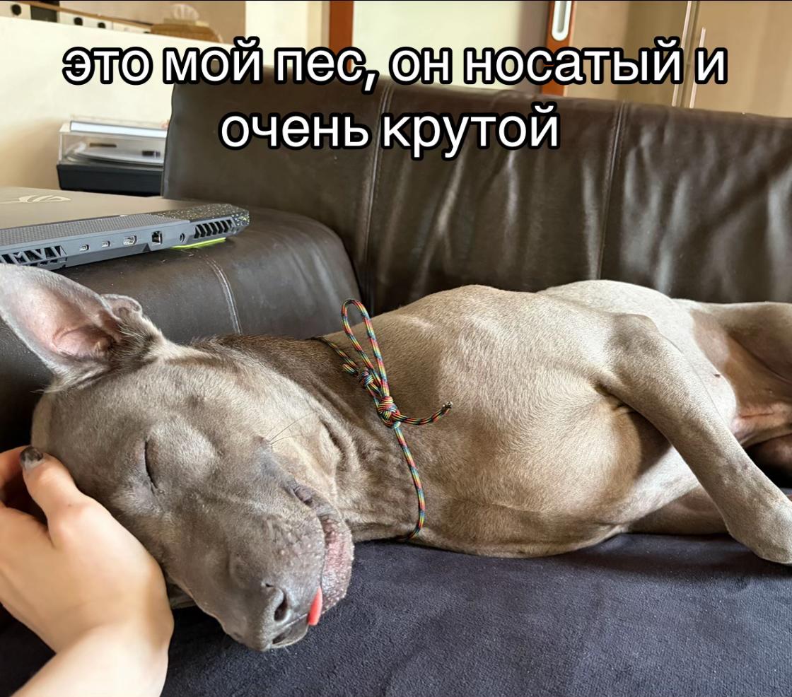 @авесомиет?