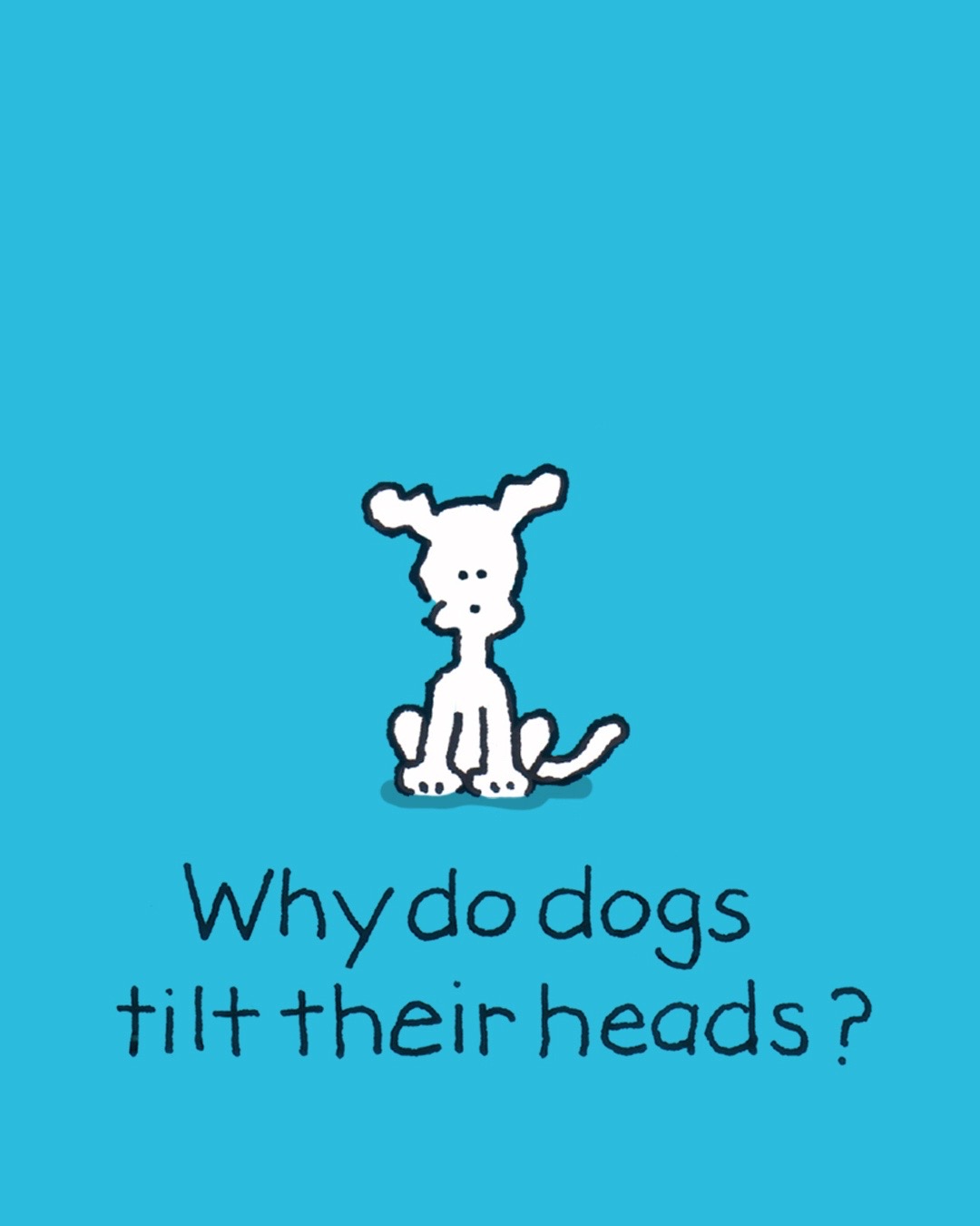 @Chippy the Dog