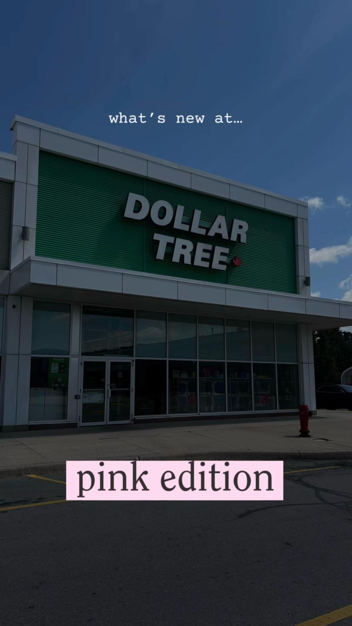 @ch3rubg1rl