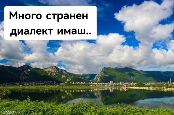 @Габриела Георгиева