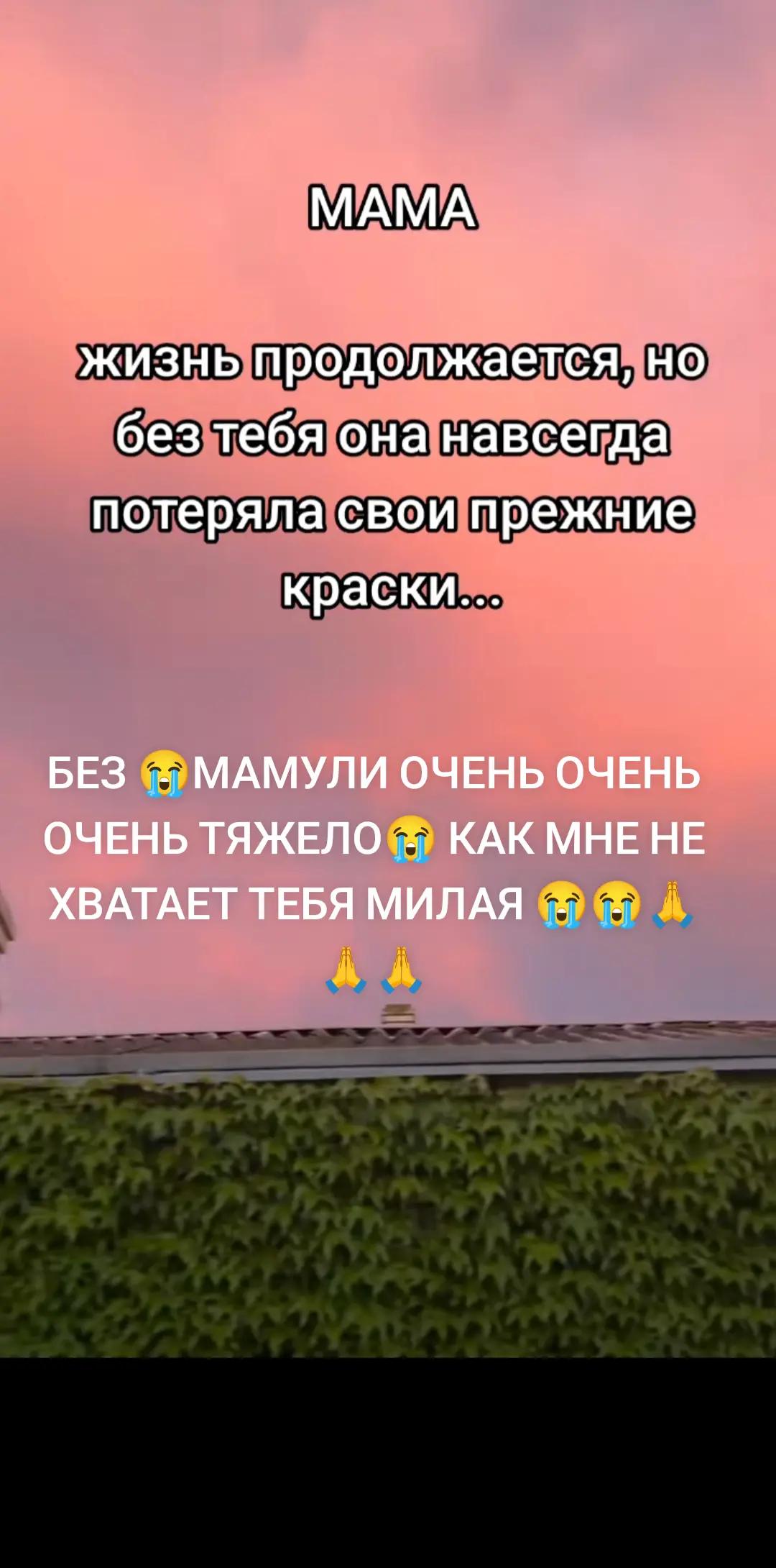 @user6103751502842светлана