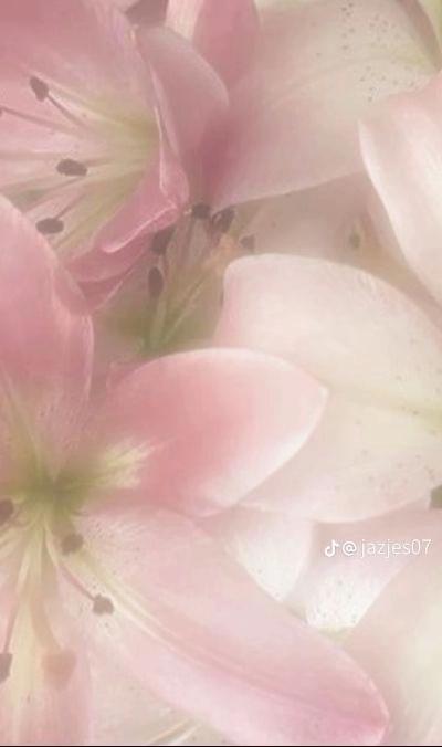 @Literally 🎭★rnd ✩✰🌾