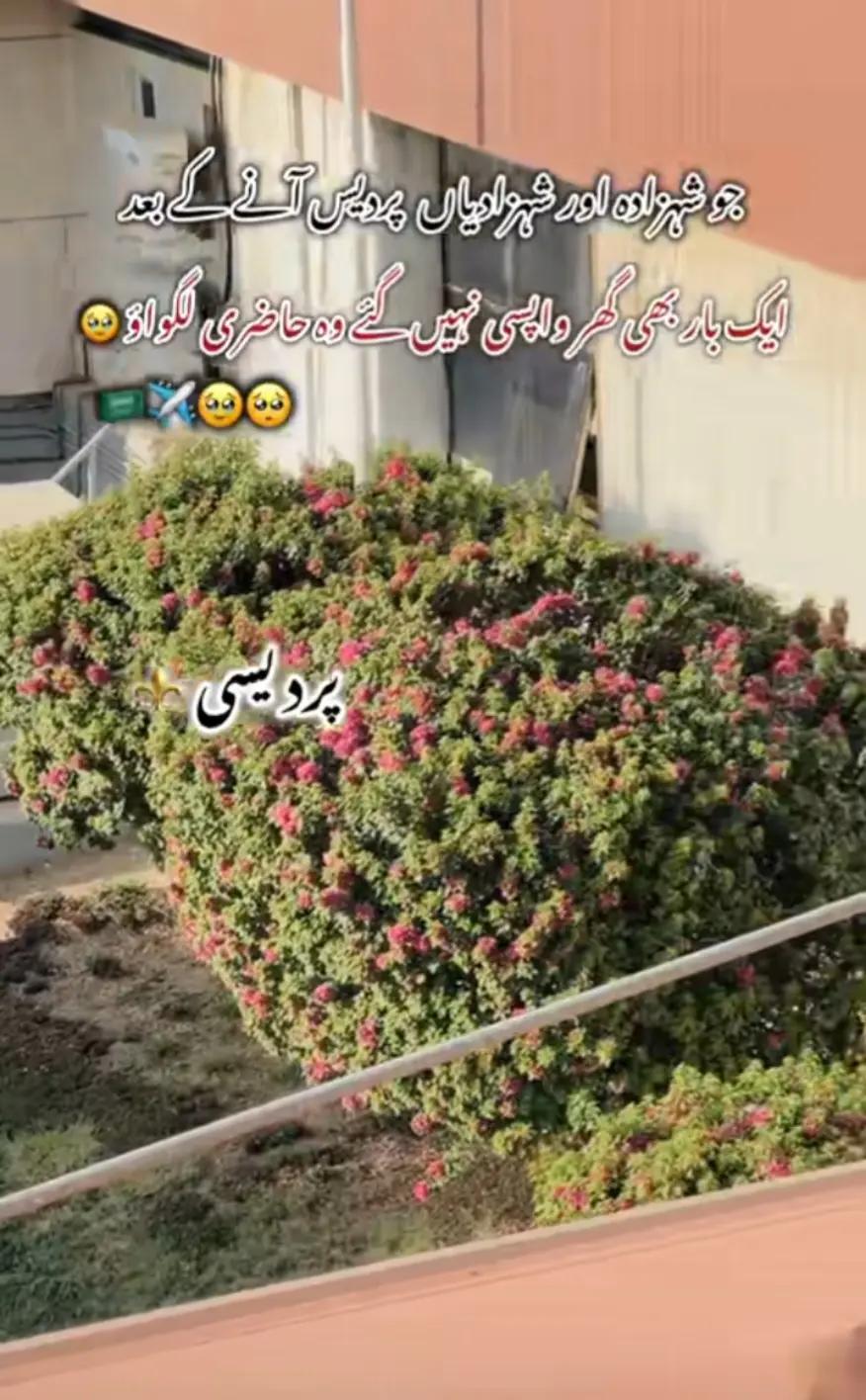 @🙌🏻پردیسی ہو یار✈️