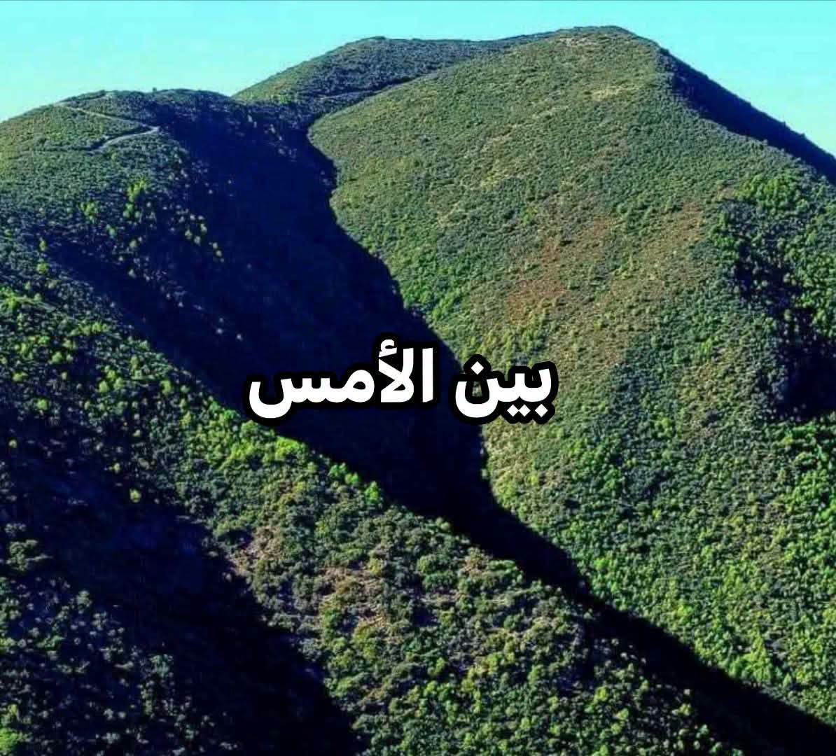 @Zaki Nounou