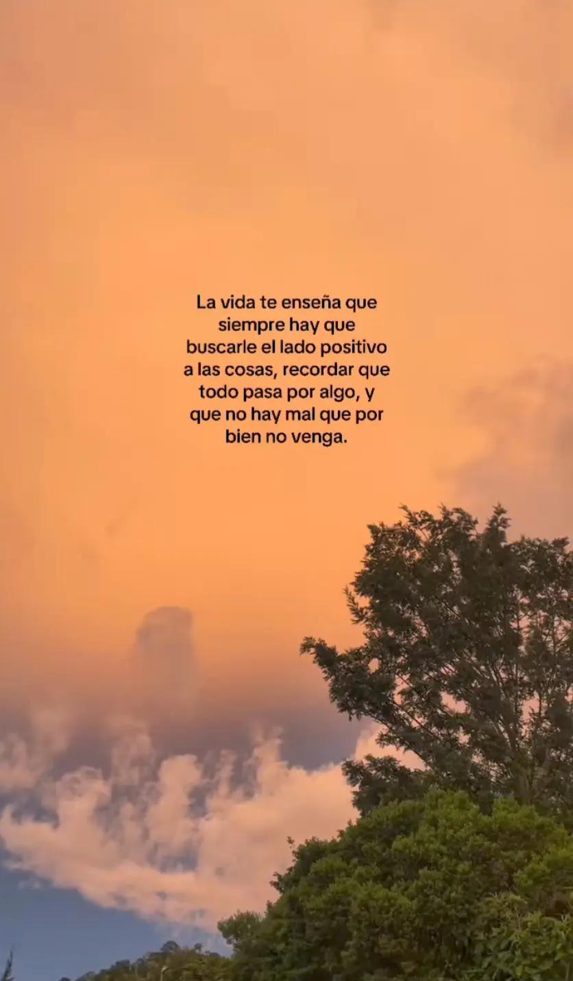 @delia duran