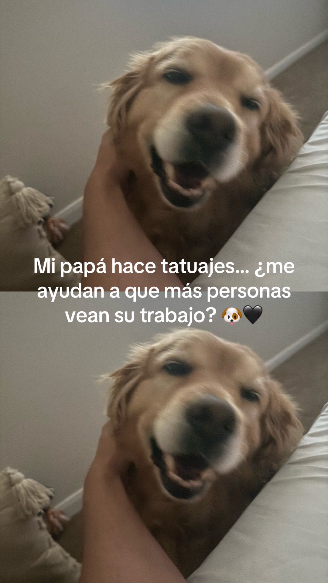 @C&Eacute;SAR