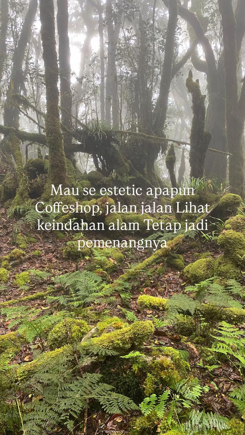 @andrian