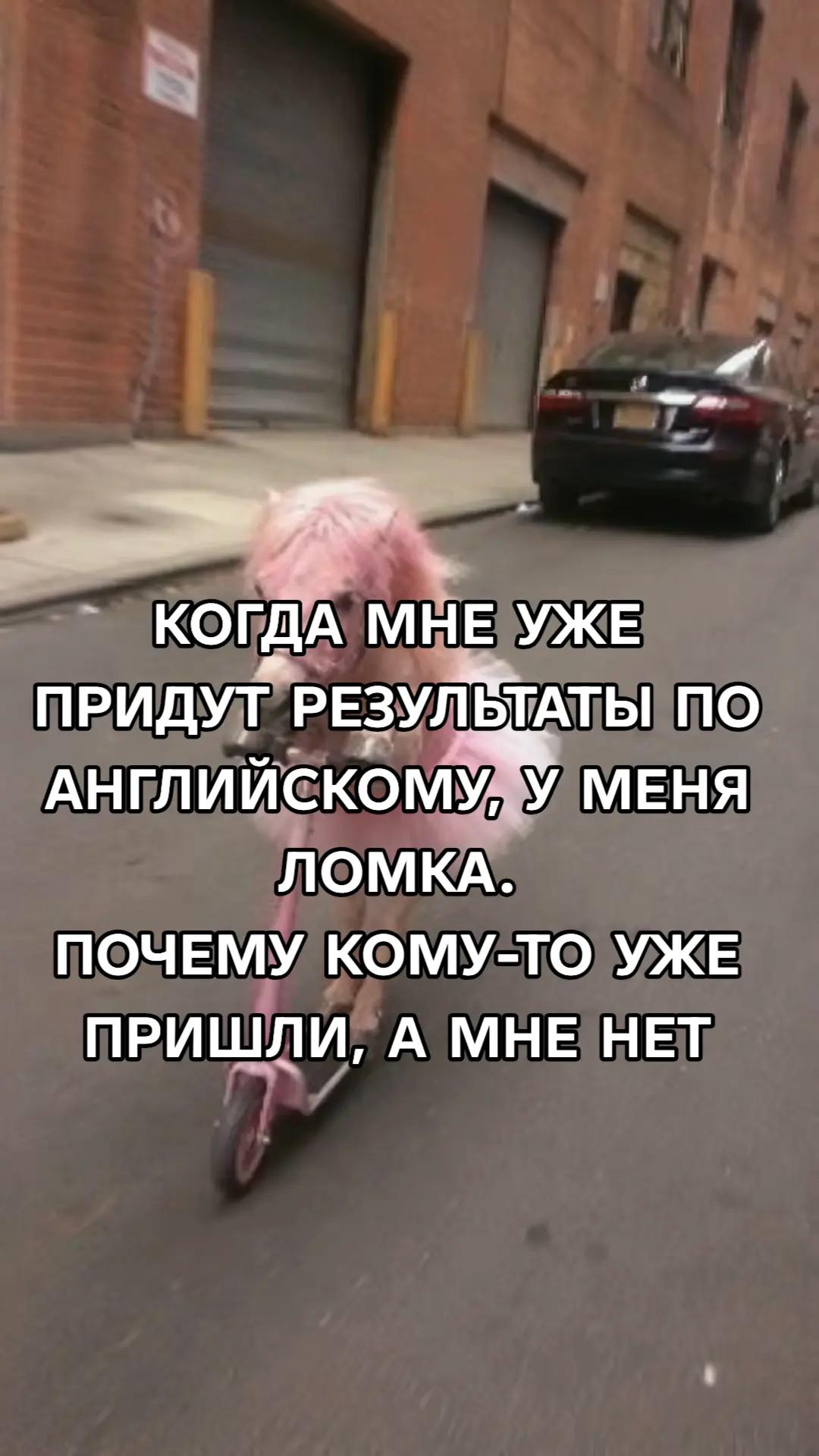 @vasty🧑&zwj;🦲