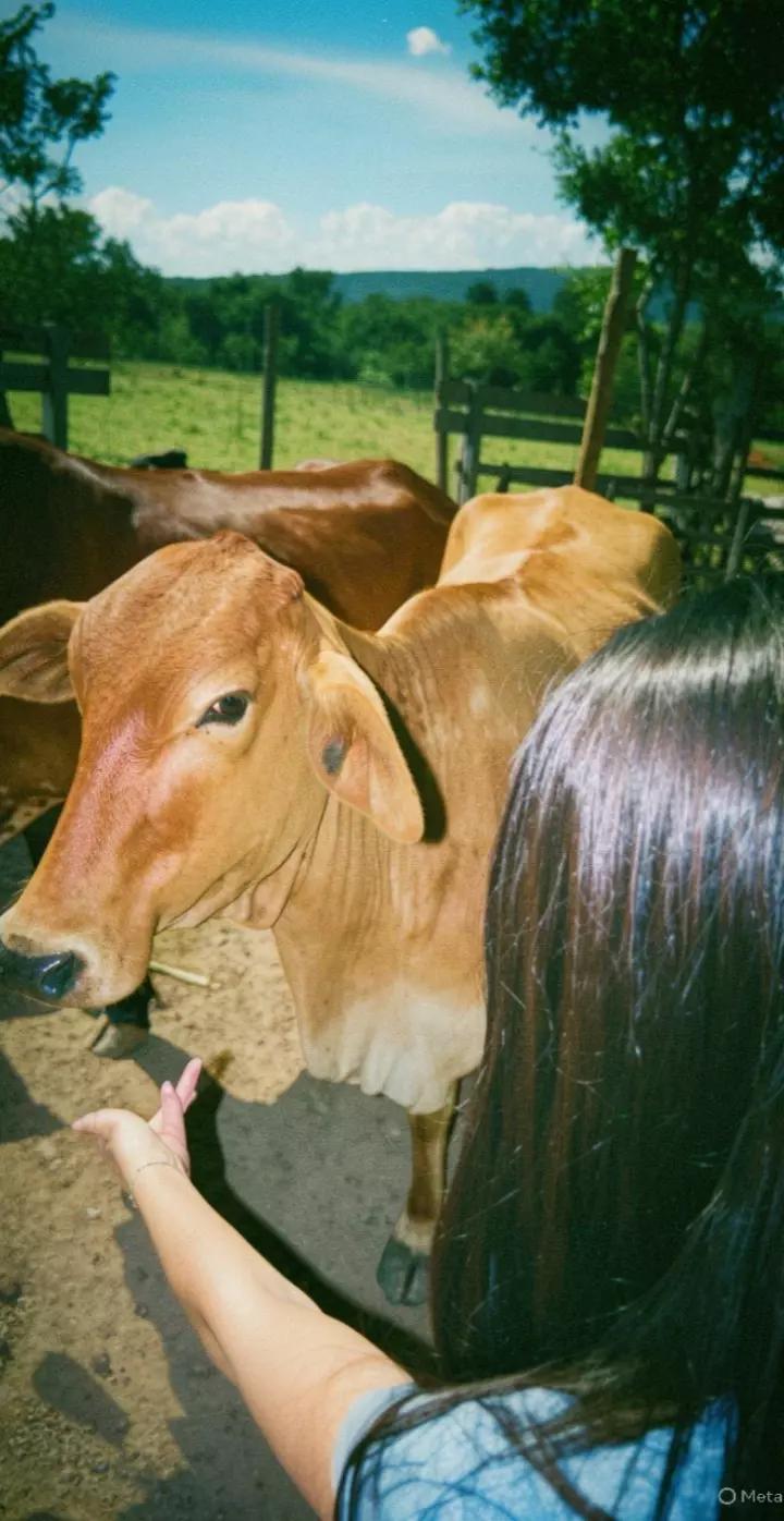 @ᥫ᭡𓆩𝑲𝒊𝒏𝒛𝒖𝒖𓆪⏤͟͟͞͞🐼⃟🌷˚₊