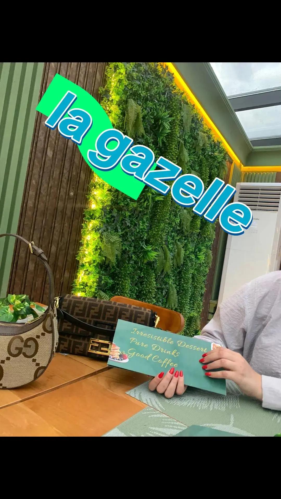 @Gazelle Eleulma