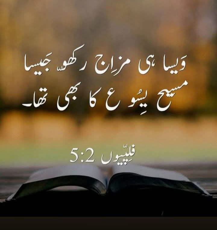 @Imran Samuel
