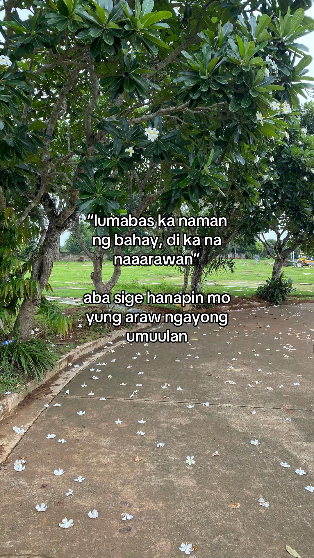 @Leo