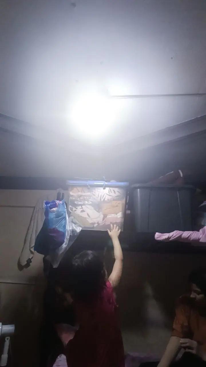 @Samsia mondei