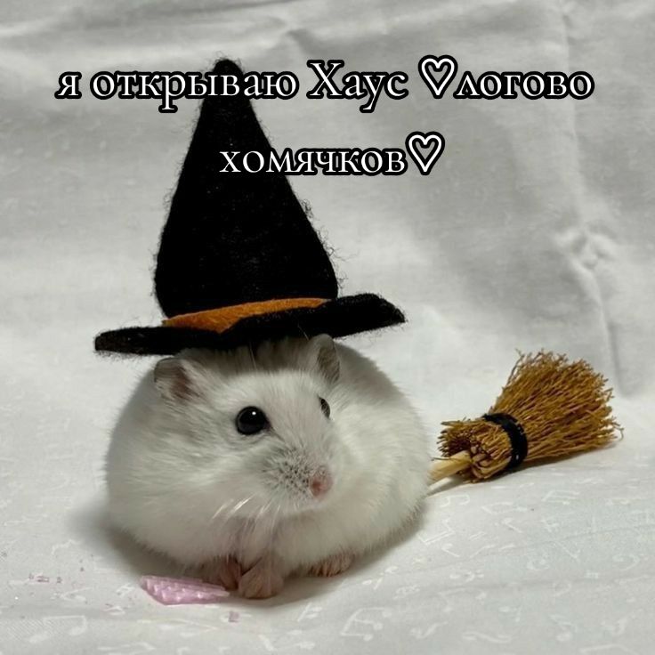 @♡𝒷𝓮𝓻𝒾𝒸𝒽♡